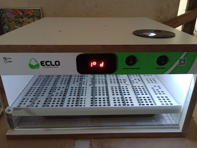 Chocadeira