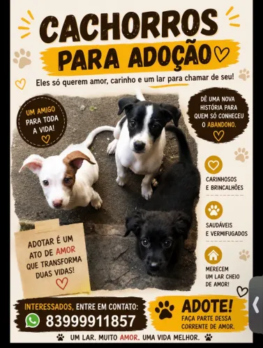 Adoção