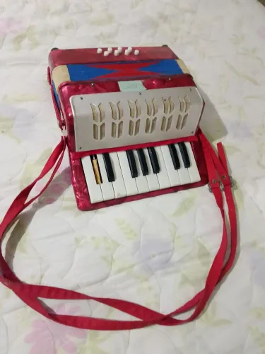 Acordeon infantil
