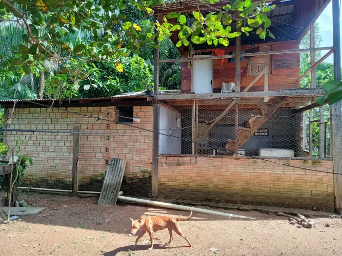 Vendo ou troco chácara na beira do rio mucajaí