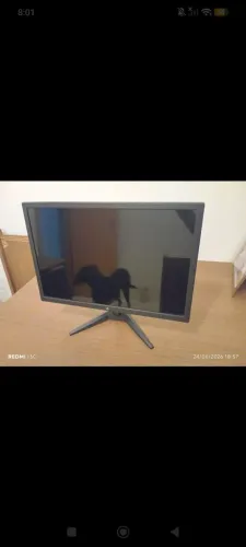 Monitor LCD 19.5 pol