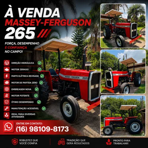 Massey Ferguson 265 