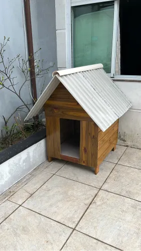 Casa de Cachorro Grande Nova