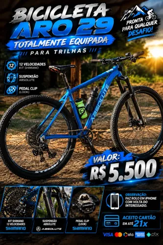 Bicicleta aro 29