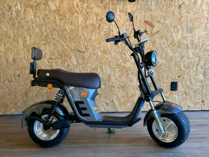 X BUDDY PLUS 