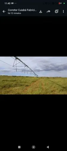 Fazenda de arrendamento 1.325hec em paraíso das águas MS. Com pivô de irrigação.