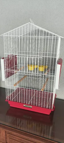 Gaiola para calopsitas