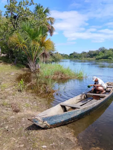 Fazenda 289ha às margens do Rio Preto - Buritizinho (Santa Rita de Cássia/BA)