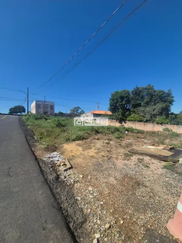 Terreno à Venda Na Colônia Dona Luíza