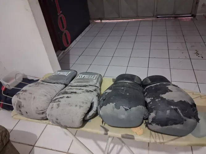 Par de Luvas de boxe e muay thai
