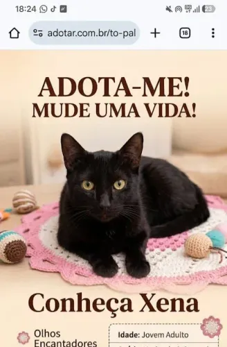 Gata pra doação 