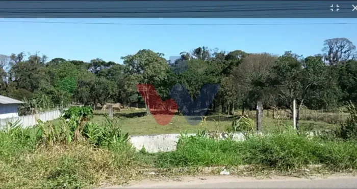 Terreno em Fazenda Rio Grande: Investimento com Potencial de Valorização