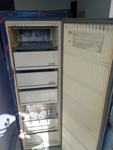 Freezer vertical