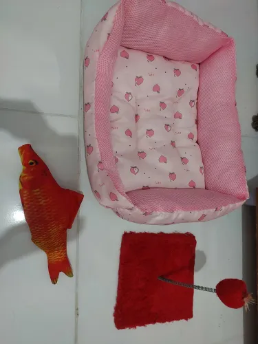 Cama e brinquedos de gatinhos.