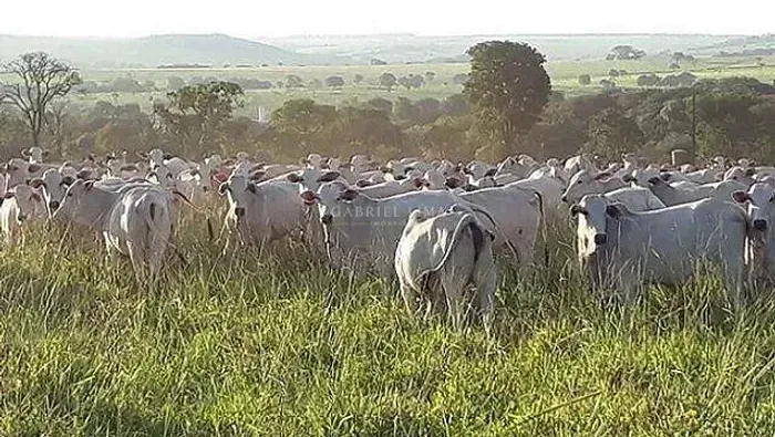 Fazenda à venda, Petrolina/Bahia, PE
