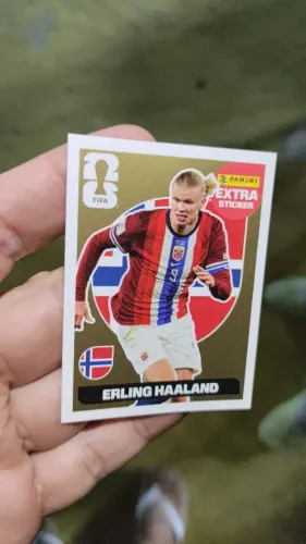 Figurinha legend do Haland!!!