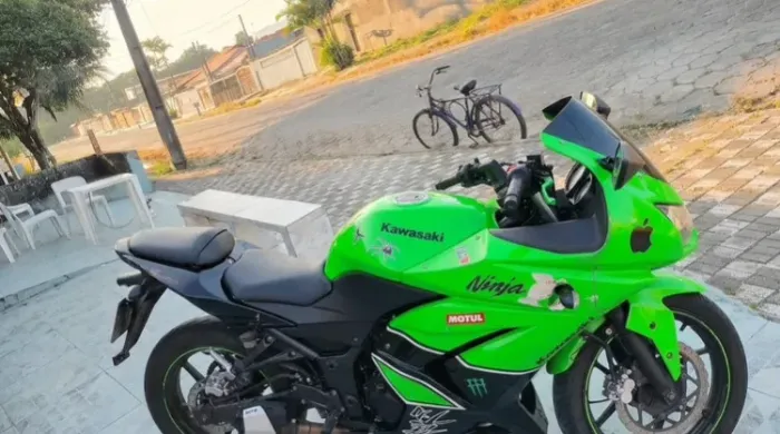 Kawasaki ninja 250r