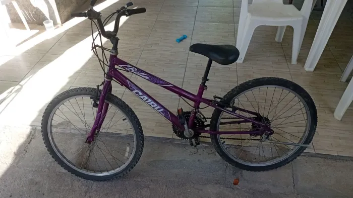 Bicicleta