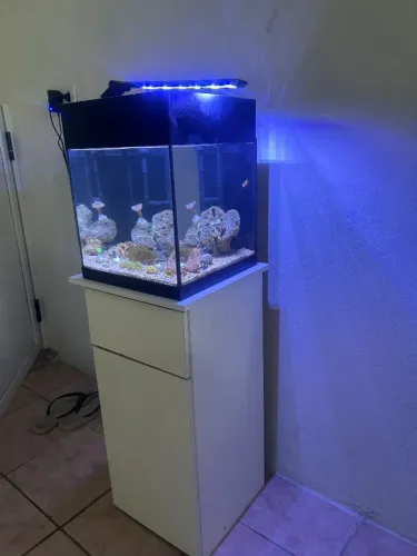 Cubo aquário 30x30 + suporte 