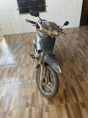Phoenix gold 50 cc