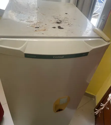 Geladeira cônsul 280 lt , funcionando perfeitamente 