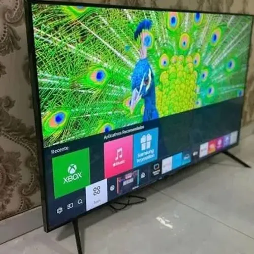 Televisão