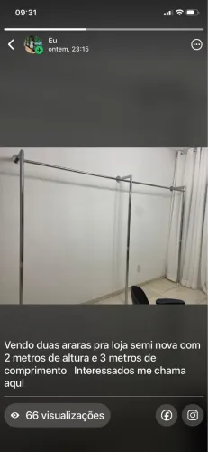 Araras pra loja