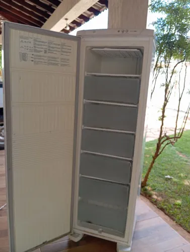 Electrolux freezer 