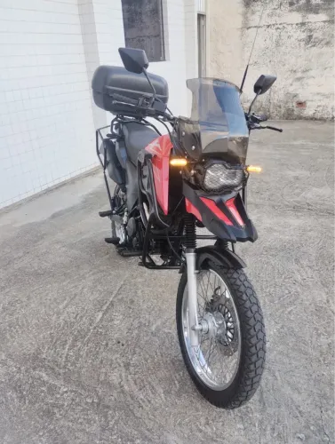 MOTO SHI175 SHINERAY 2024