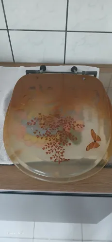 Tampo de vaso sanitario