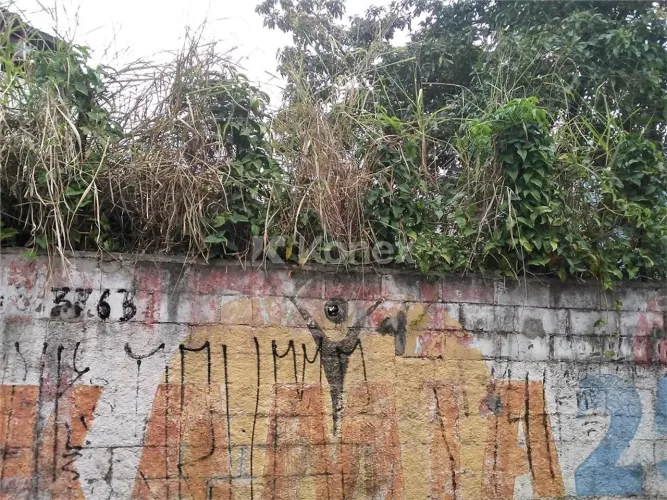 Terreno à venda com 320 m² em Barro Branco (zona Norte), São Paulo