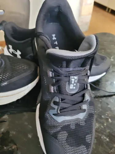 Tenis