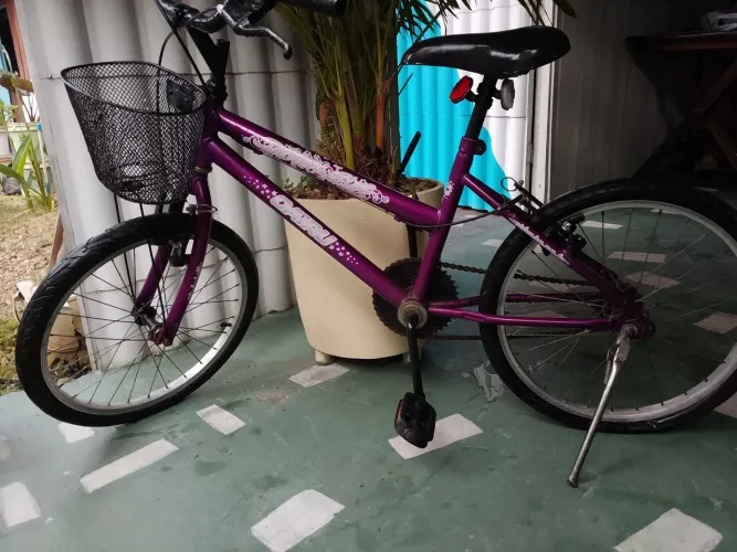 Bike Aro 24