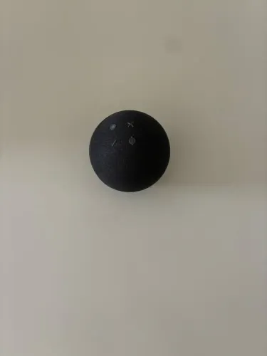 Alexa 