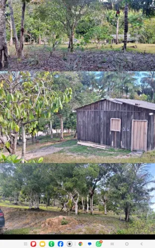 Sítio Estrada de Novo Airao Imperdivel 