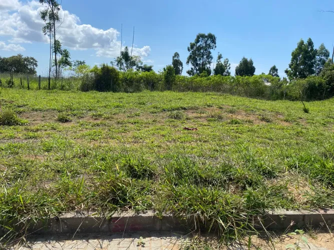 Vendo lote E repasso financiamento.