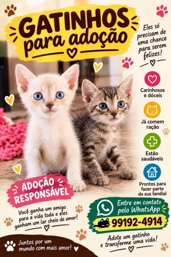 Doação