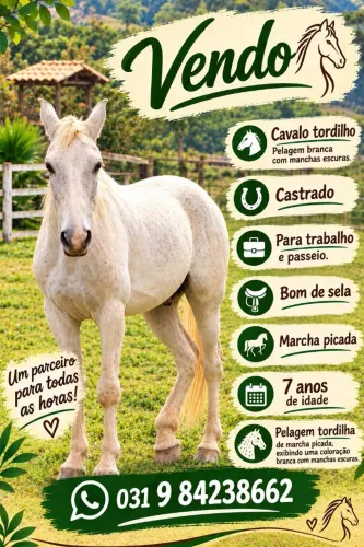 Cavalo Tordilho