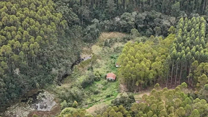 *EXCELENTE FAZENDA COM EUCALIPTO A VENDA NA REGIÃO DE ITAPEVA-SP* ?? Área Total: 67 Alquei