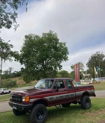 Ford F-1000 S. S. Diesel / S.s. Diesel Turbo 1993