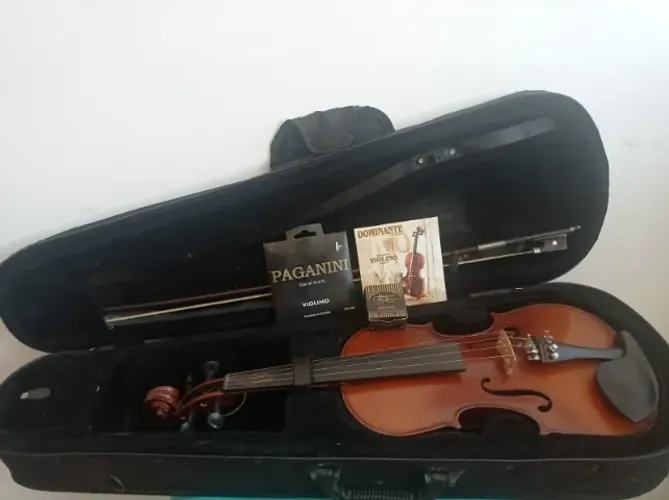 Violino Michael 4/4 com estojo
