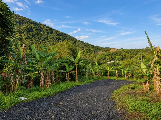 Terrenos em Ilha de Guaratiba - Áreas de 221 a 682 m²