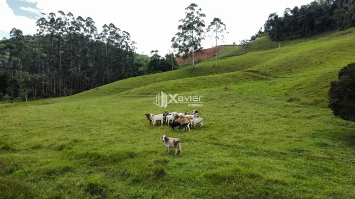 Terreno 9,6 ha à Venda em Araguaia, Marechal Floriano/ES | Com rio, escritura e fácil aces