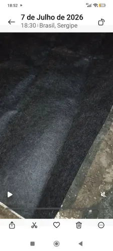 Carpete novo