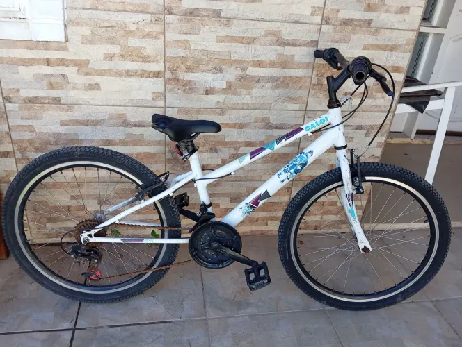 Bicicleta Ceci aro 24