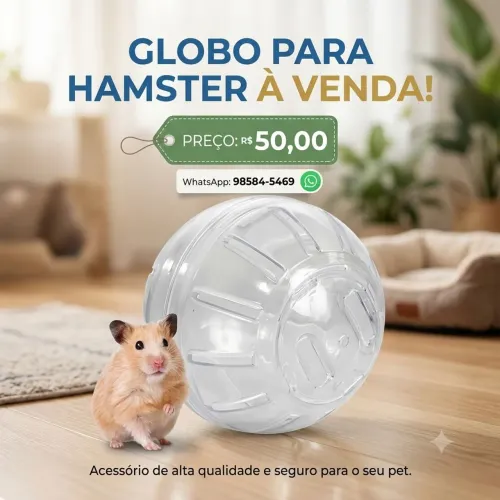 Globo para hamster