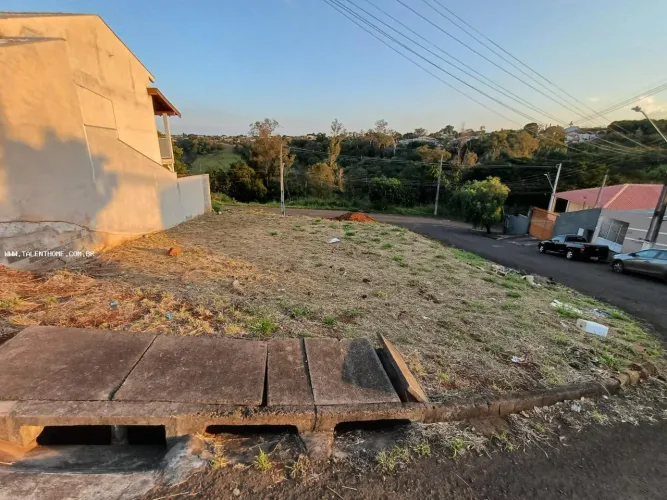 Terreno para Venda em Londrina, Jardim Neman Sahyun
