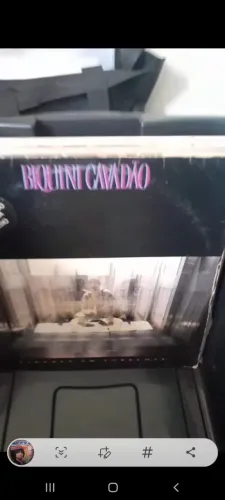 Disco de Vinil