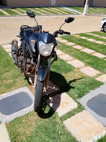 Factor 150 para alugar