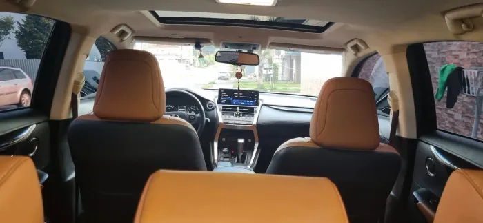 Lexus NX-300 H Luxury 2.5 16V Aut. 2019